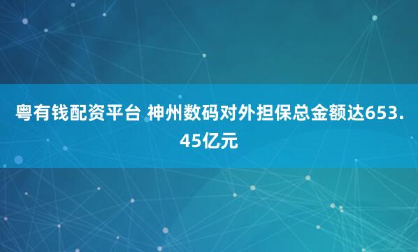 粤有钱配资平台 神州数码对外担保总金额达653.45亿元