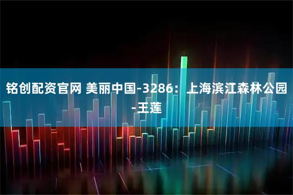 铭创配资官网 美丽中国-3286：上海滨江森林公园-王莲